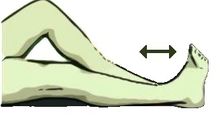 Ankle Flexion (pumps)